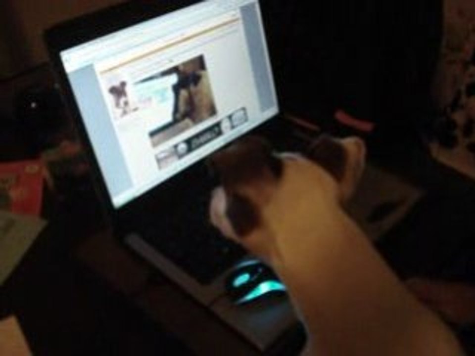 Spyke qui regarde vidéo de Darko