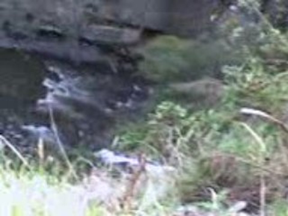 Las lajas