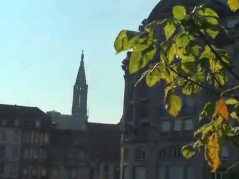 TOUS ENSEMBLE Court-métrage