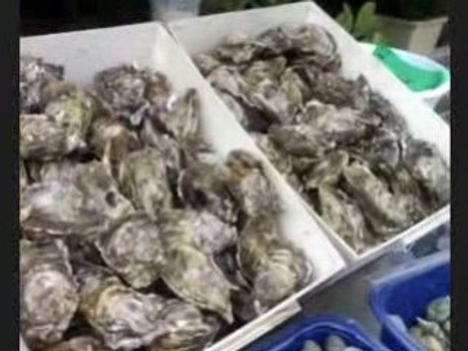 Huitres de Bouzigues, Bassin de Thau