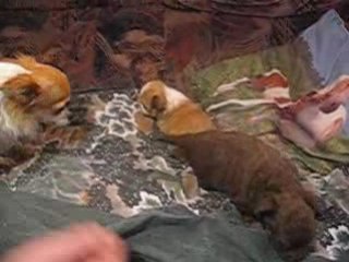 Joile bebe et Marie 026