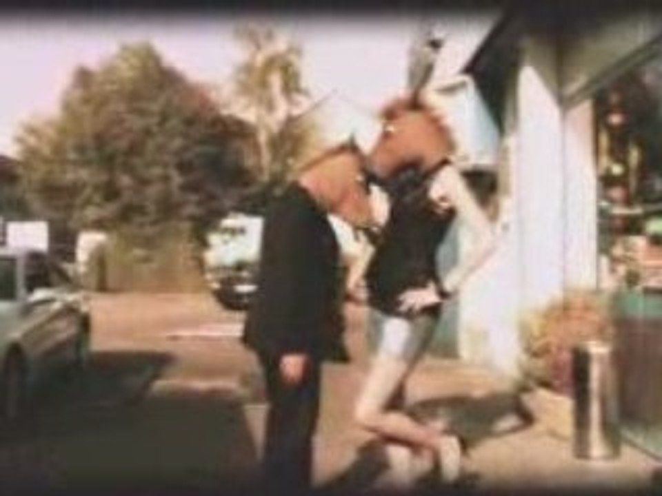 Mynewzoo_sometimes_2008__www.mynewzoo.com