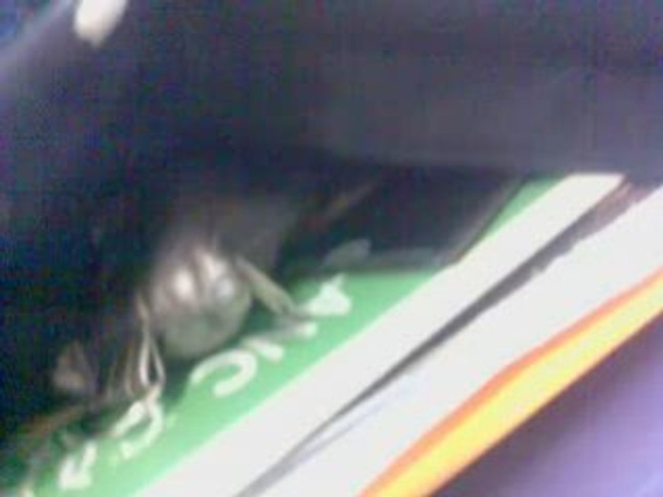 Souvenirs du collège <3 Cours d'anglais - Mme Renault