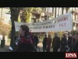 Manifestation des chercheurs à Strasbourg