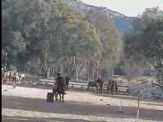 Bouteilles - Les Red's