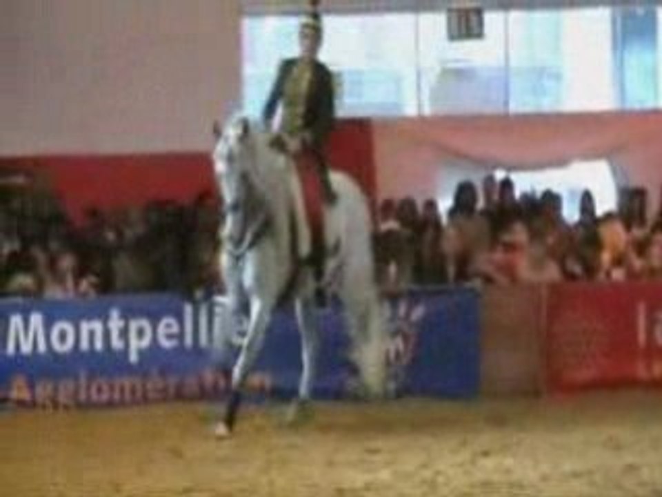 Salon du cheval Monpellier CSO et Dressage