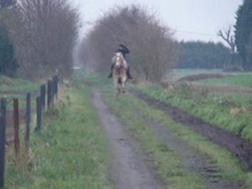 Ylenko et Terry au galop balade