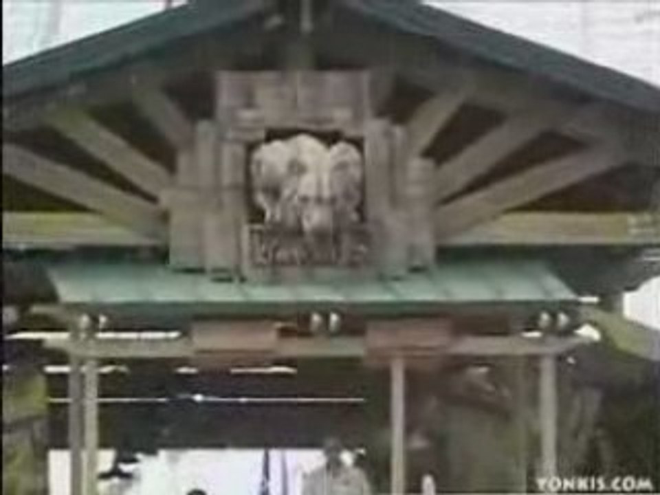 Manege de fou