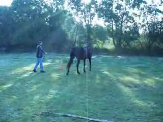 Longues rênes avec Bellinda