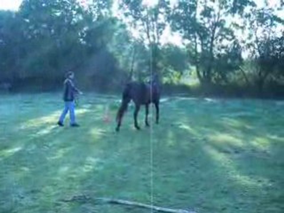 Longues rênes avec Bellinda