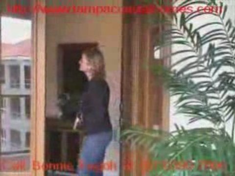 Apollo Beach Florida Luxury Villas**