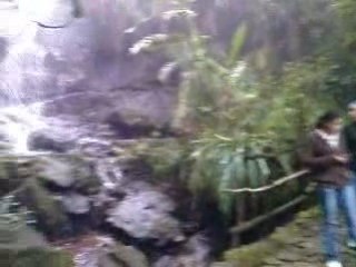 biotopo el quetzal 06