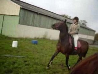 SDC10229