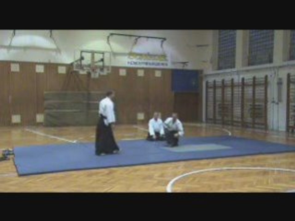 Aikido demonstration a la OnlineAikido.com