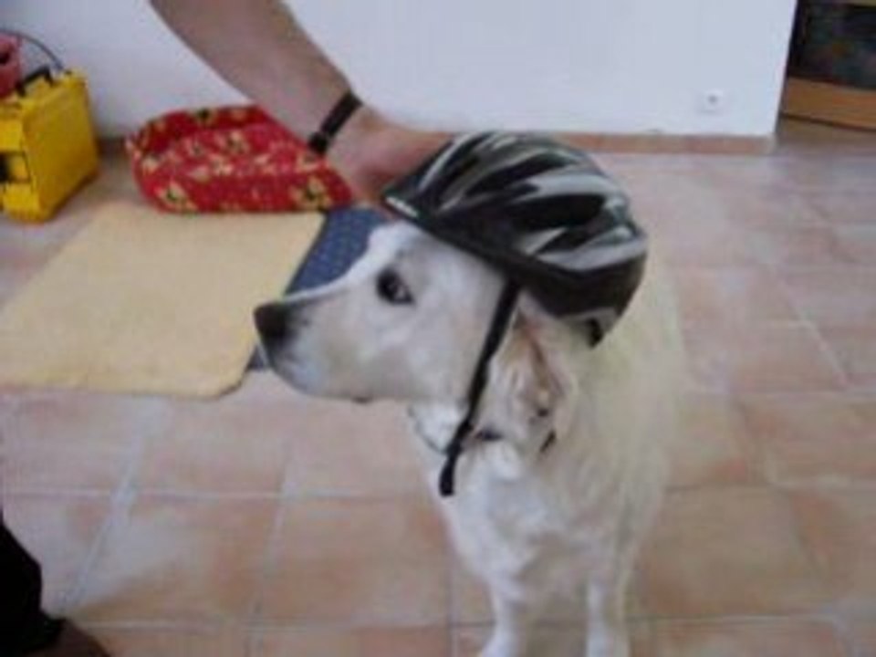Cisca et le casque de vélo