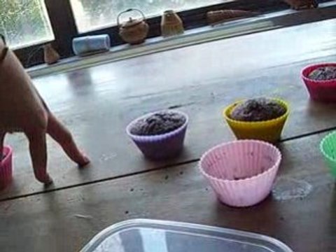 Ah Ah Ah Ah Stayin Alive Stayin Alive