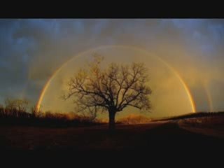 Axel Rudi Pell Touch The Reinbow