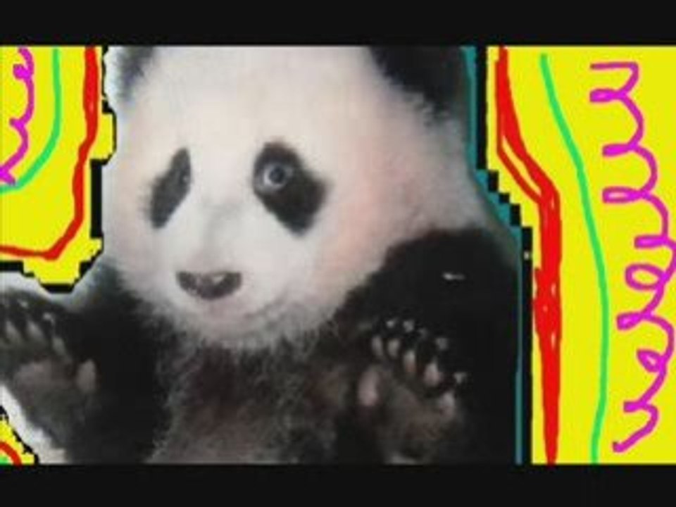 Haddaway  What is love?