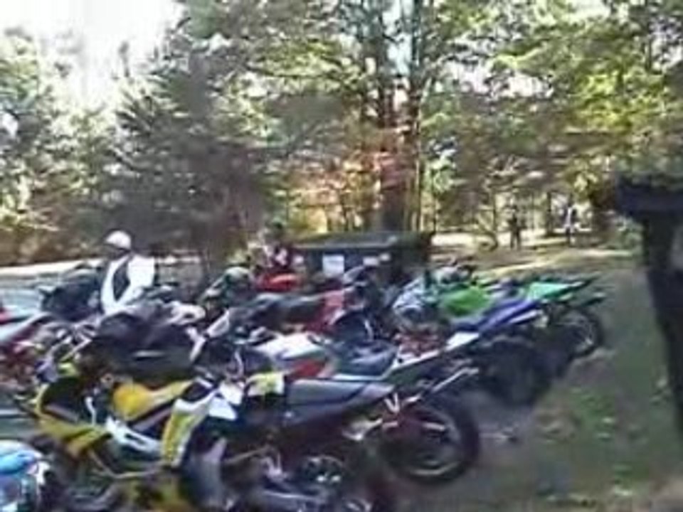 day at the park