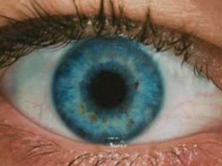 Resident Evil Extinction (2007)