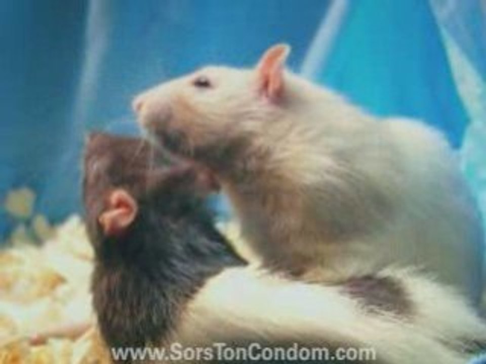 Sors ton condom! - Alex & Max