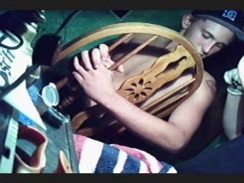 vehical emissions feat species cruzing