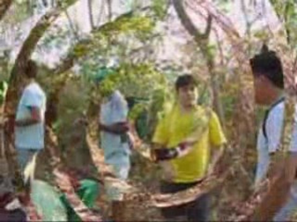 Bastidores da pesquisa de campo em Miguel Leão