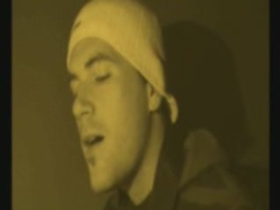 I Could Have Lied - reprise des RHCP