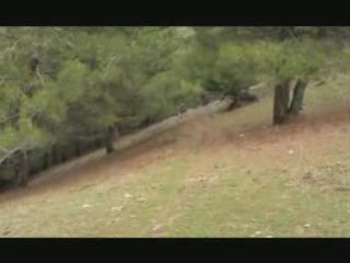 Film_Bespinar-Spil -1