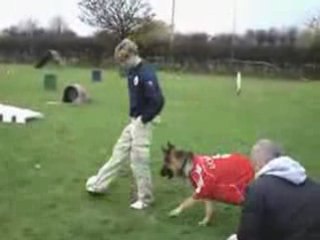 Fernando Torres e pastore tedesco