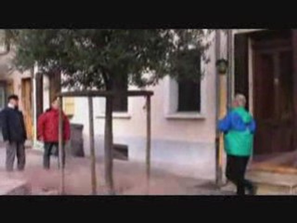 Récolte d'olives dans le centre de Bourg-les-Valence