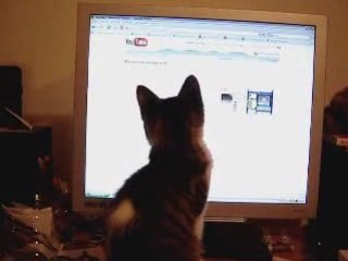 Tsumi suit le pointeur de la souris 8-12-07