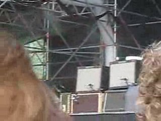 Editors Musilac 2008