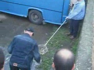 Dere geldi,balıklar tutuldu