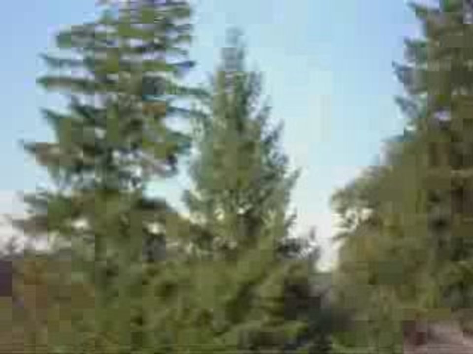 Ralenti de l'autre video