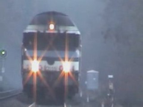 Cc72000 les sauvages