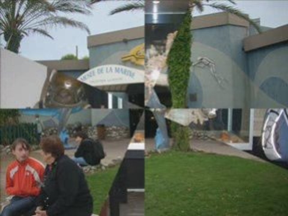 MARINELAND