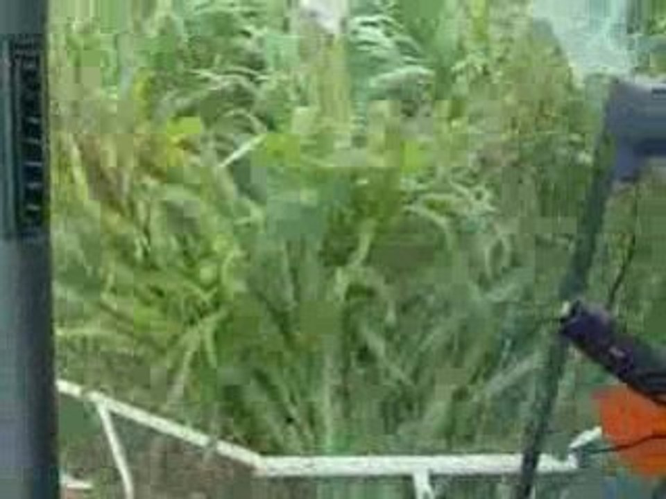 Ensilage 2008 chapitre 1