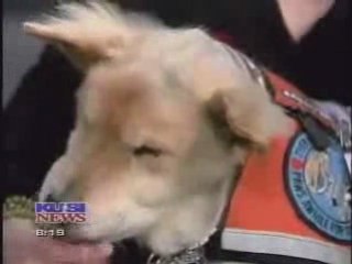 Moments with Baxter, a hospice therapy dog