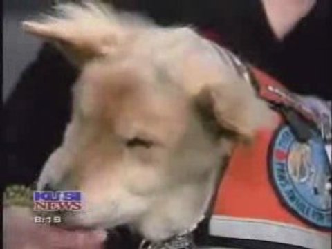 Moments with Baxter, a hospice therapy dog