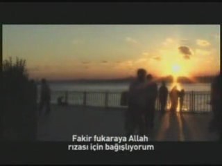 Cennet Kuşları Birds Of Heaven1