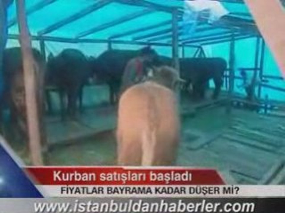 kurban pazarları 2008