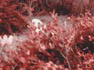 M83 - iN tHE cOLD i'M stANding