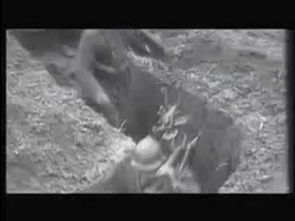 Medine-self-defense-1