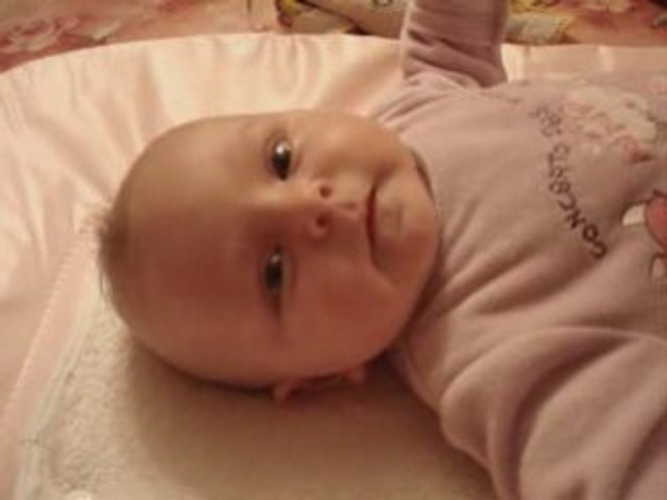 17 novembre 2008