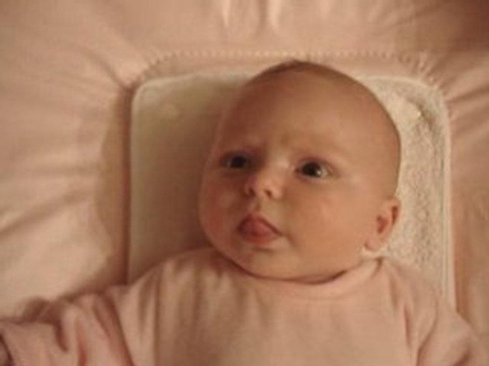 18 novembre 2008