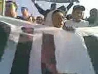 magnifico public mca2-1jsk (ultras verde leone)