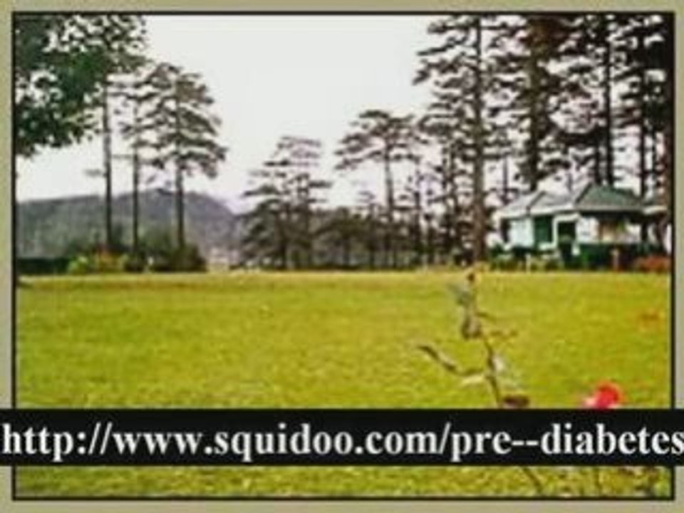 ada pre diabetes