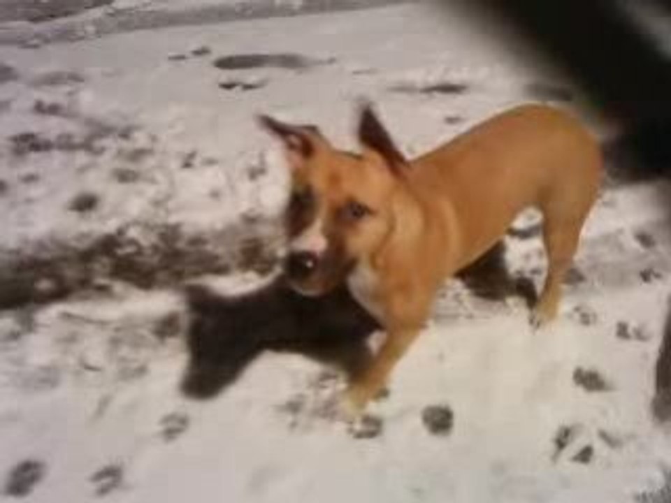 Neige 2