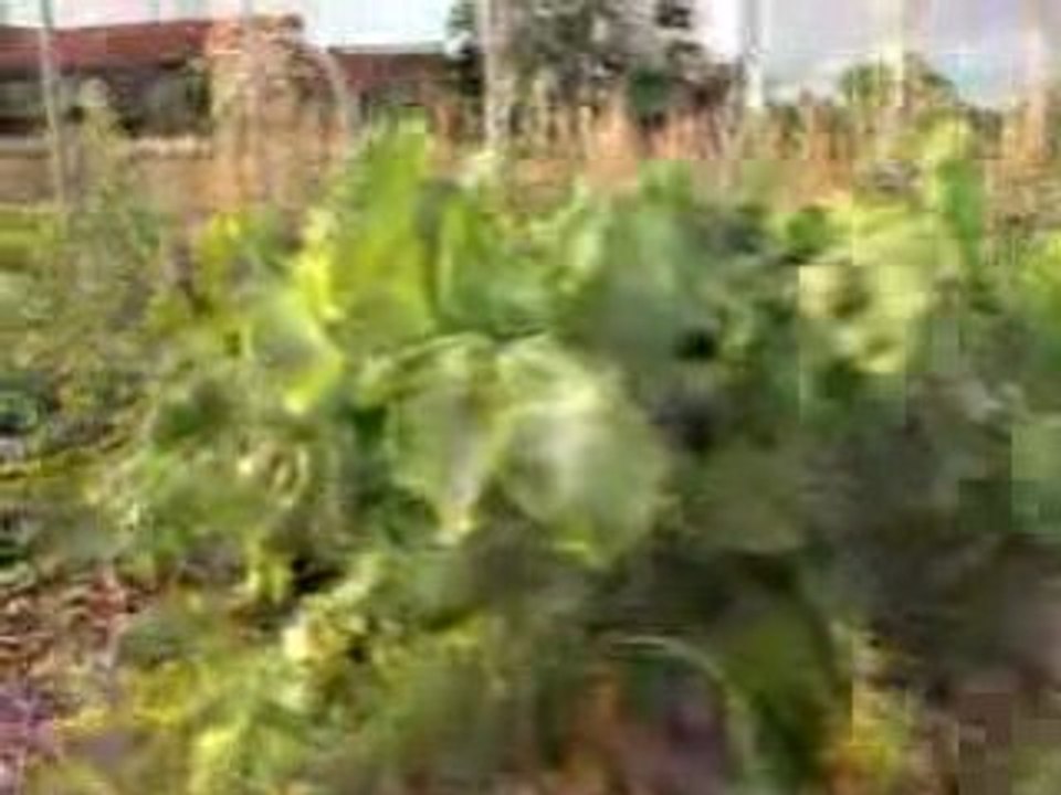 Les reportages vidéos de Chemin Faisant